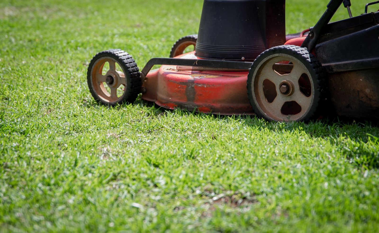 A red push mower cutting a green lawn on a sunny day